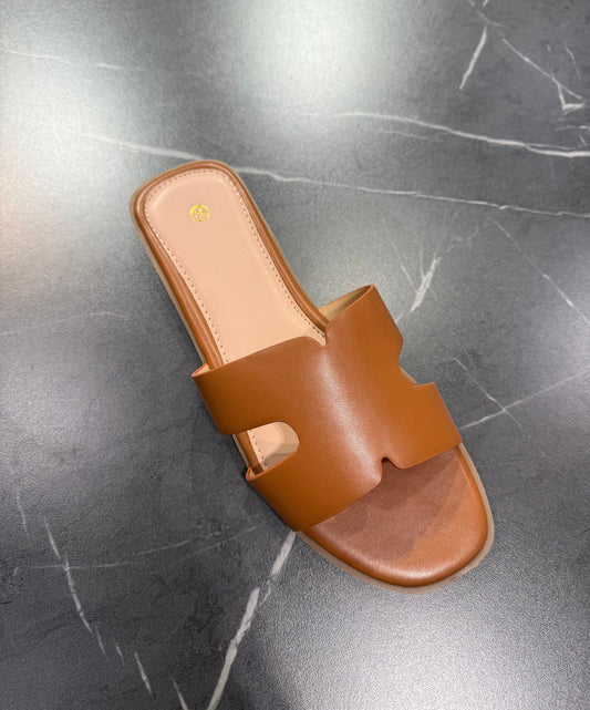 Slides Camel